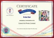 Locked Certificate Preview
