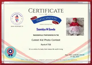Certificate Preview