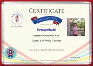Locked Certificate Preview