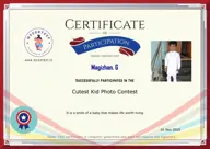 Locked Certificate Preview