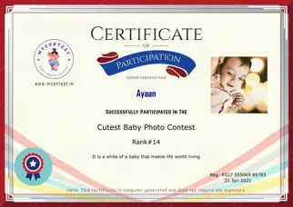 Certificate Preview