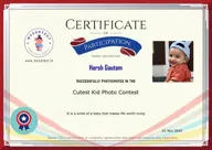Locked Certificate Preview