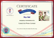 Locked Certificate Preview