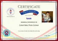 Locked Certificate Preview