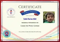 Locked Certificate Preview