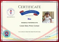 Locked Certificate Preview