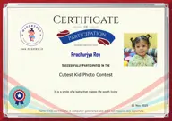 Locked Certificate Preview