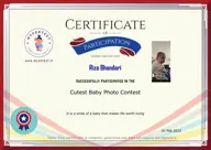 Locked Certificate Preview