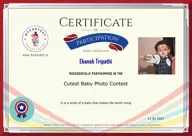 Locked Certificate Preview