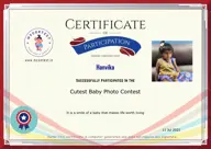 Locked Certificate Preview