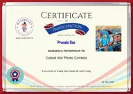 Locked Certificate Preview