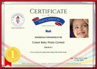 Certificate Preview