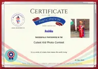 Locked Certificate Preview
