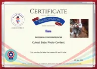 Locked Certificate Preview