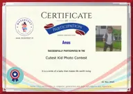 Locked Certificate Preview