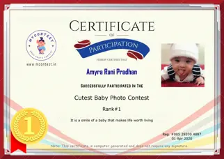 Certificate Preview