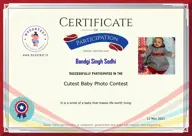 Locked Certificate Preview
