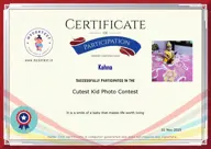 Locked Certificate Preview