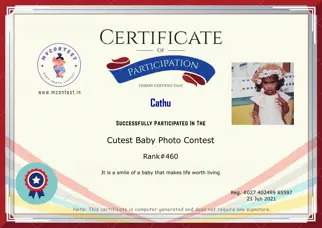Certificate Preview